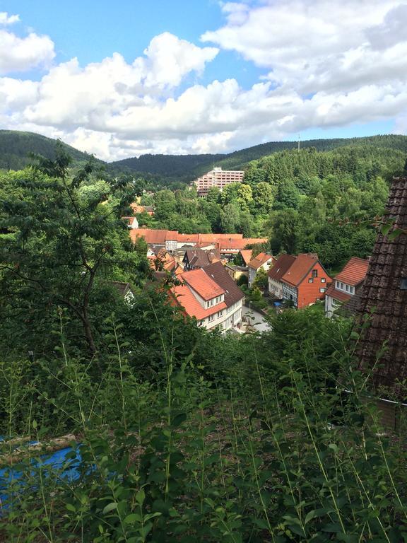 Ferienwohnung Zur Alten Post Bad Grund Buitenkant foto
