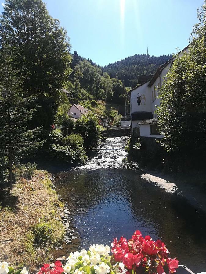 Ferienwohnung Zur Alten Post Bad Grund Buitenkant foto